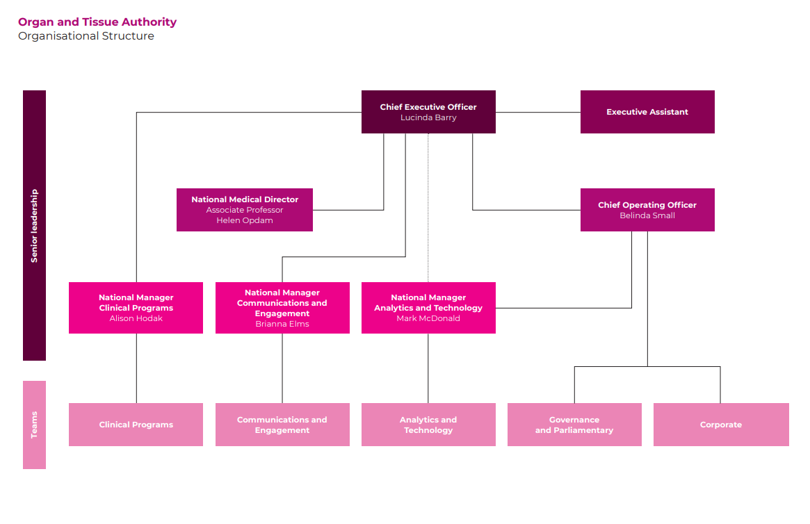 The Organ and Tissue Authority's organisational chart - last updated October 2023