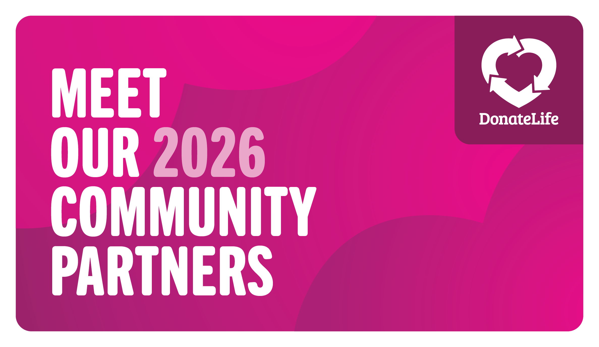 Meet our new community partners 