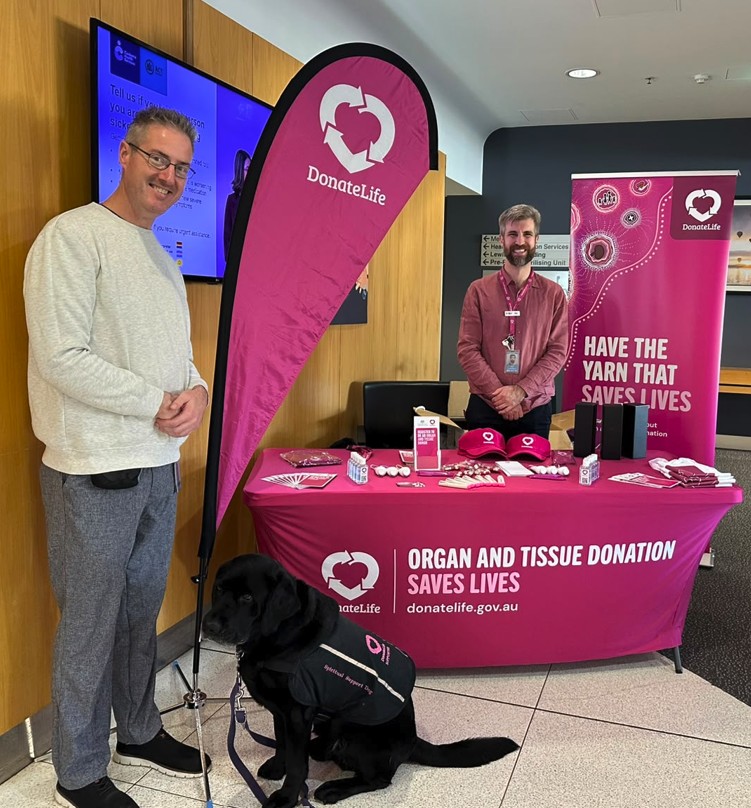 A DonateLife information stall is set up in a hospital foyer, featuring magenta DonateLife banners, brochures, caps and promotional materials. Two people stand beside the display table, while a black assistance dog wearing a branded vest sits in the foreground. Visible signage includes the messages ‘Organ and tissue donation saves lives’ and ‘Have the yarn that saves lives’.