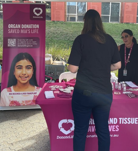 A person stands at a DonateLife information stall, looking at a table covered with a magenta DonateLife tablecloth and promotional items. Another person is behind the table. To the left, a tall DonateLife banner reads ‘Organ donation saved Mia’s life’ with a QR code and supporting text. The banner also includes a photo of a young person and the caption ‘Mia received a liver transplant.’ The stall is set up outdoors with buildings and greenery in the background.