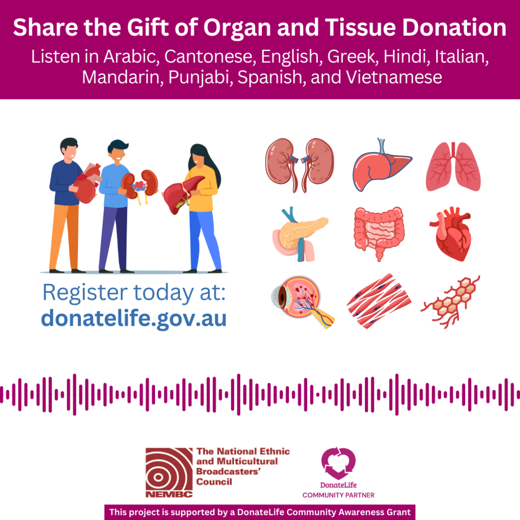 A graphic tile with text, ‘Share the Gift of Organ and Tissue Donation. Listen in Arabic, Cantonese, English, Greek, Hindi, Italian, Mandarin, Punjabi, Spanish, and Vietnamese. Register today at: donatelife.gov.au. This project is supported by a DonateLife Community Awareness Grant’. There are stylised images of different organs and tissues.
