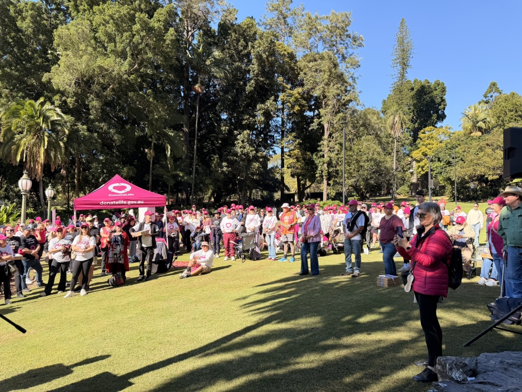 A large crowd gathers in Brisbane City Botanic Gardens for a DonateLife community event, with many participants wearing magenta hats and shirts and standing near a magenta DonateLife marquee.
