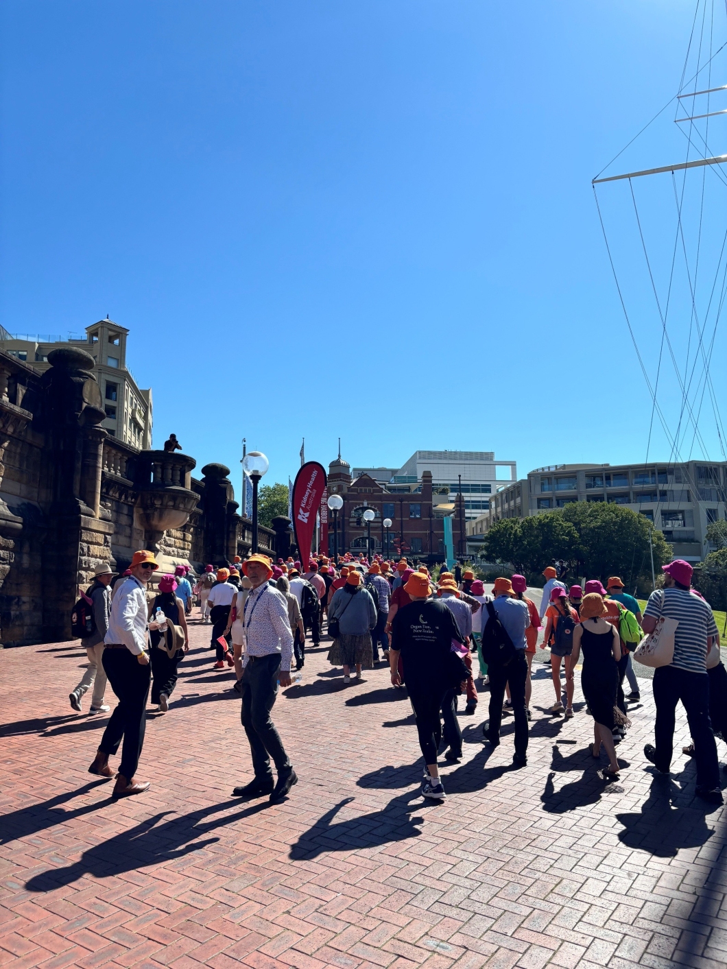 Participants wearing orange and magenta hats walk along a waterfront promenade during a community awareness event promoting organ and tissue donation. Historic sandstone buildings, city infrastructure and clear blue skies form the backdrop as the group follows the event route.