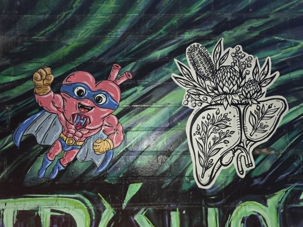 A street art mural features a cartoon superhero heart alongside an anatomical illustration of human organs filled with native Australian plants.