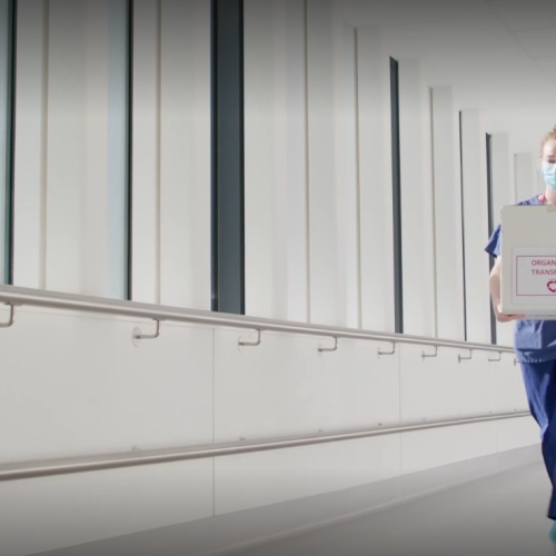 Hospital b-roll - kidneys being transported