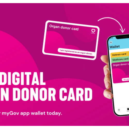 Magenta background with large gradient hearts. Text overlay reads, 'New digital organ donor card.'. There is a picture of a hand holding a phone. The screen shows the myGov app, featuring the new magenta donor card.