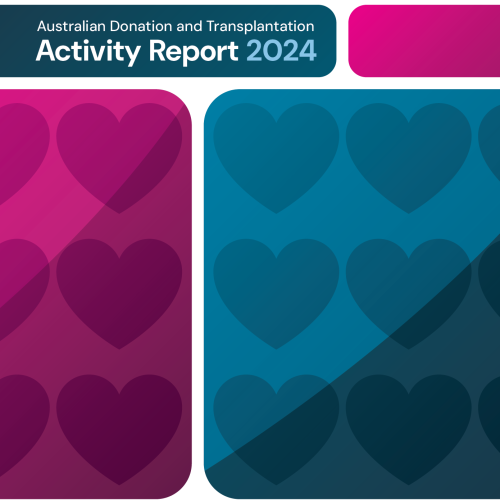 2024 Activity Report cover artwork
