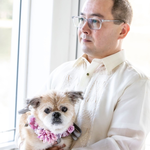 A person dressed in white holding a small light brown dog wearing a pink floral collar. They are standing in front of a sunlit window. 