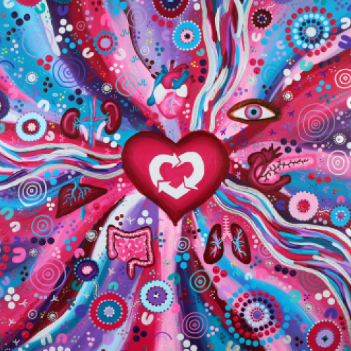 An image of a piece of Aboriginal artwork representing organ and tissue donation. It is mostly in shades of magenta and features the DonateLife logo in the center, surrounded by small pictures of organs. It contains symbols for yarning circles and animal tracks.