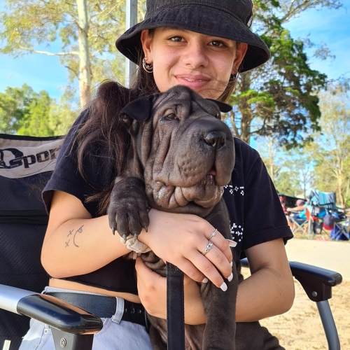 A person is sitting outdoors on a chair, holding a wrinkled Shar Pei dog. The person is wearing a black bucket hat, black t-shirt, and has tattoos on the left arm. Trees and other people are visible in the background. 
