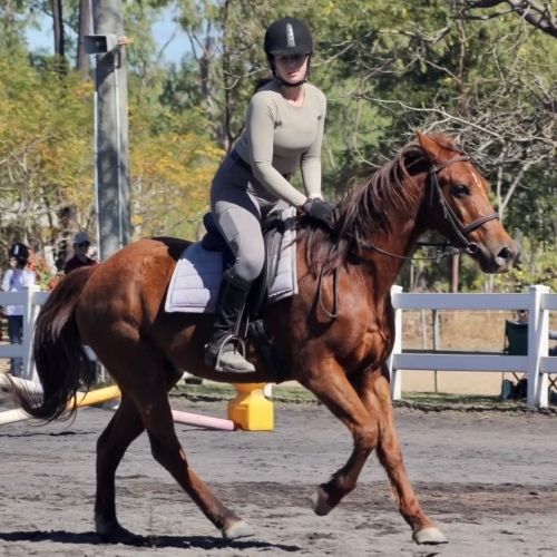 A rider wearing a helmet and neutral-toned riding outfit trots a chestnut horse around an outdoor arena, with fences and trees visible in the background.
