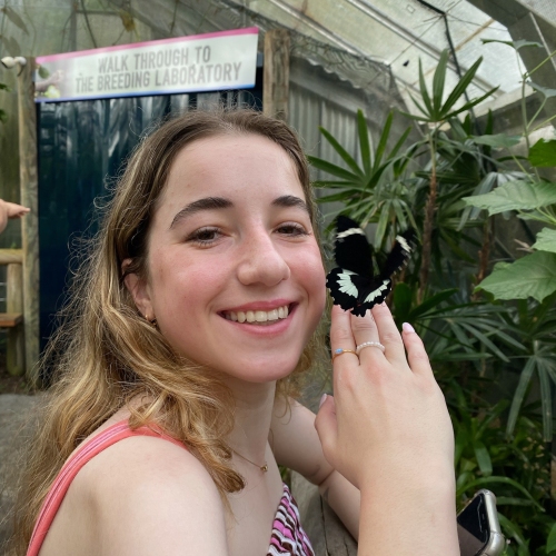 A person stands inside a lush butterfly enclosure, holding up their hand as a black‑and‑white butterfly rests gently on their finger. Green plants and a glass roof surround the space. 