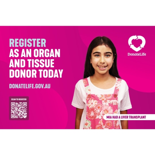 1200 x 800 digital screensaver mia had a liver transplant.